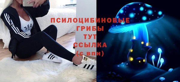 не бодяженный Алексин