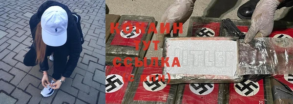 не бодяженный Алексин