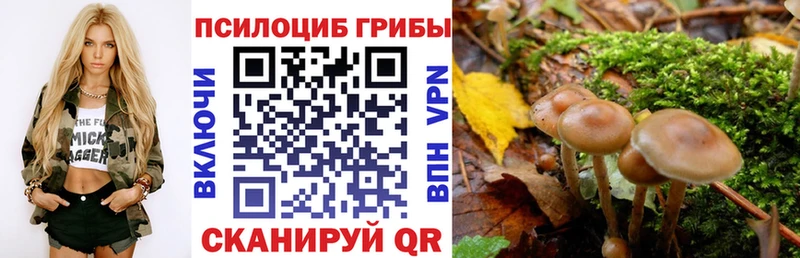 Псилоцибиновые грибы Psilocybe  Волчанск 